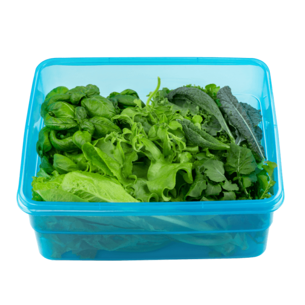organic Vegetable Box with Lettuce Kale Basil Arigula