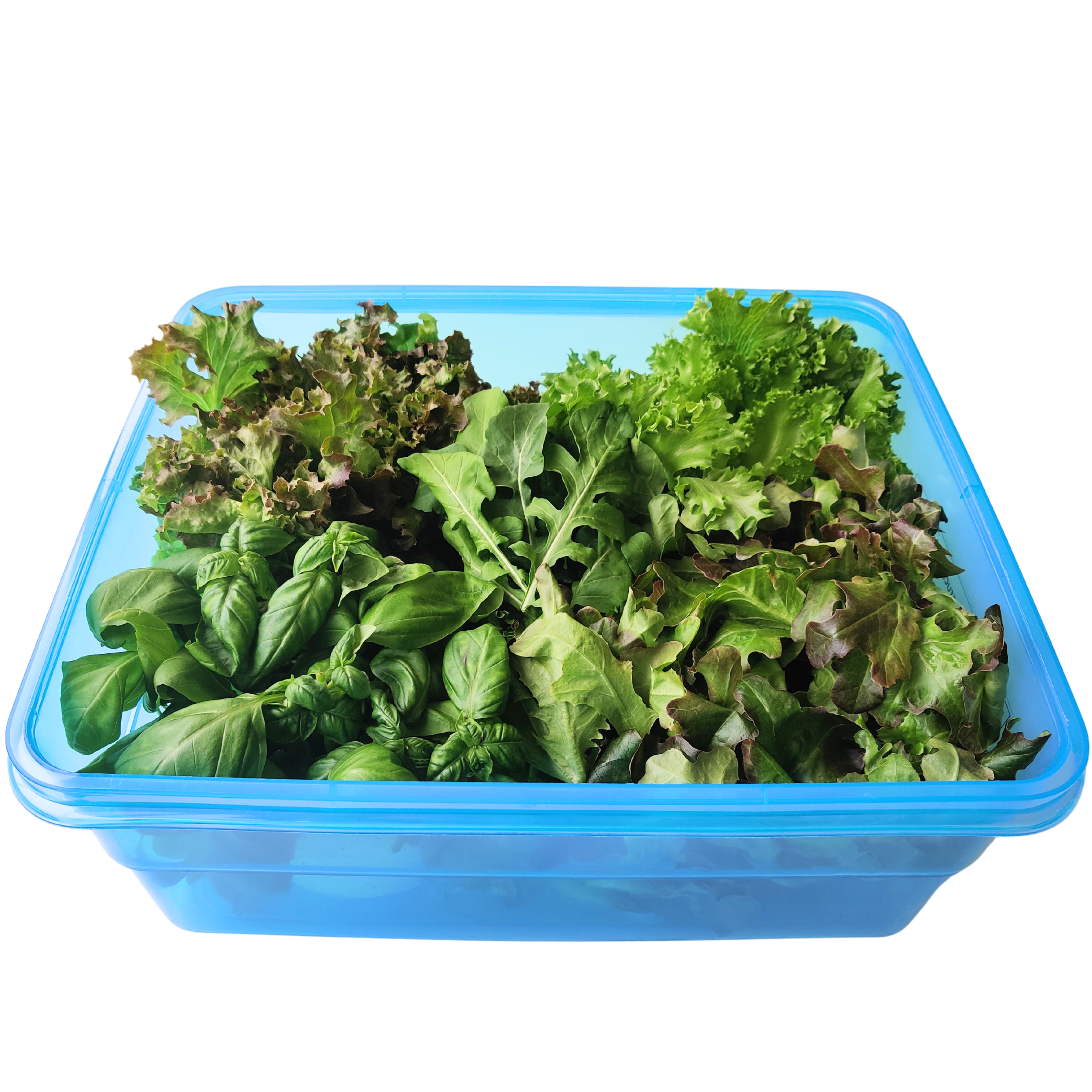 organic indoor farm Vegetable Box with Lettuce Basil Arugula